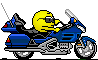 moto